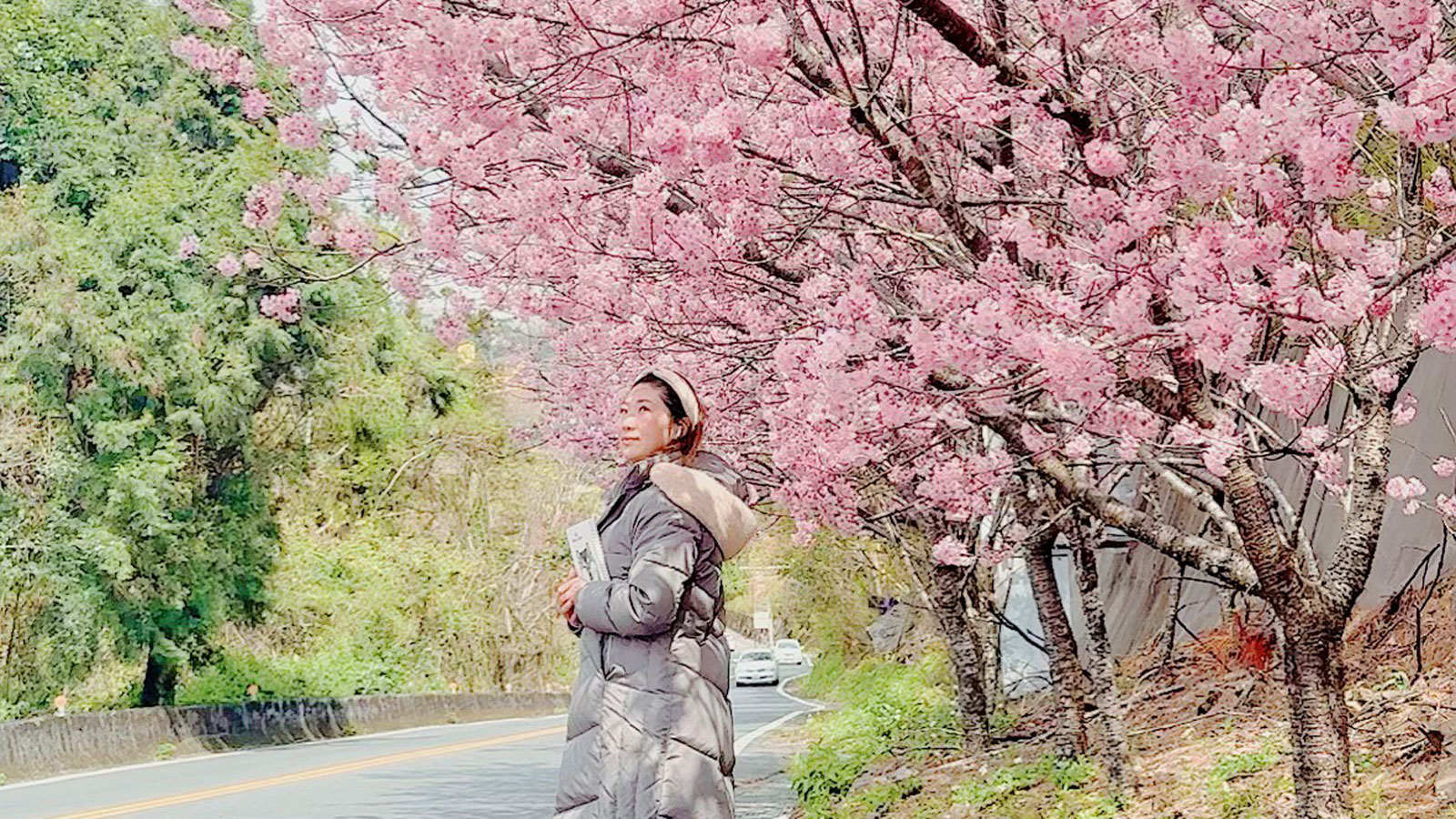 清境眷戀山城 | Cingjing B&B 封面